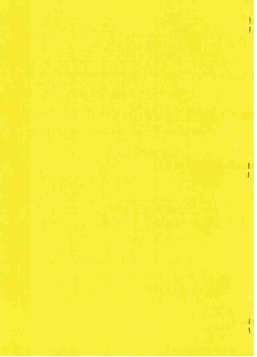 COMMENTO AL 3° QUADERNO DI ARCHEOSOFIA Siena 4 agosto 1991